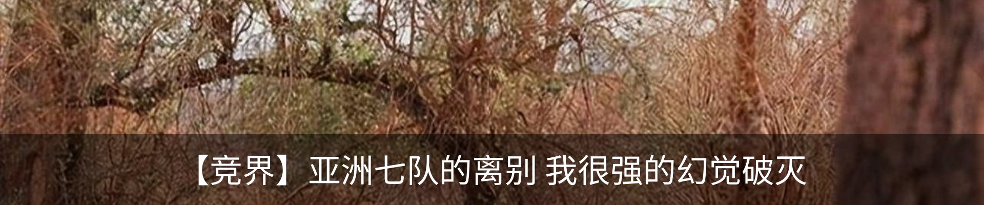 内页banner